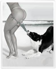 foto cachorro comendo buceta zoofilia