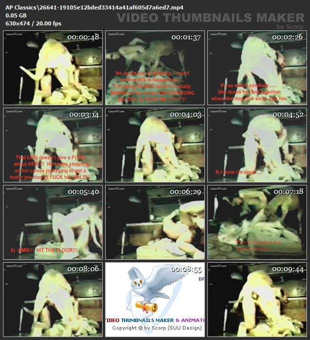 peluda  sexo com animais zoofilia Blu-ray Porco Comendo Cuzinho De Mulher Quarentona Cachorro fodendo com uma loira muito gostosa Zoosection Filme pornô com um enorme pau de cavalo