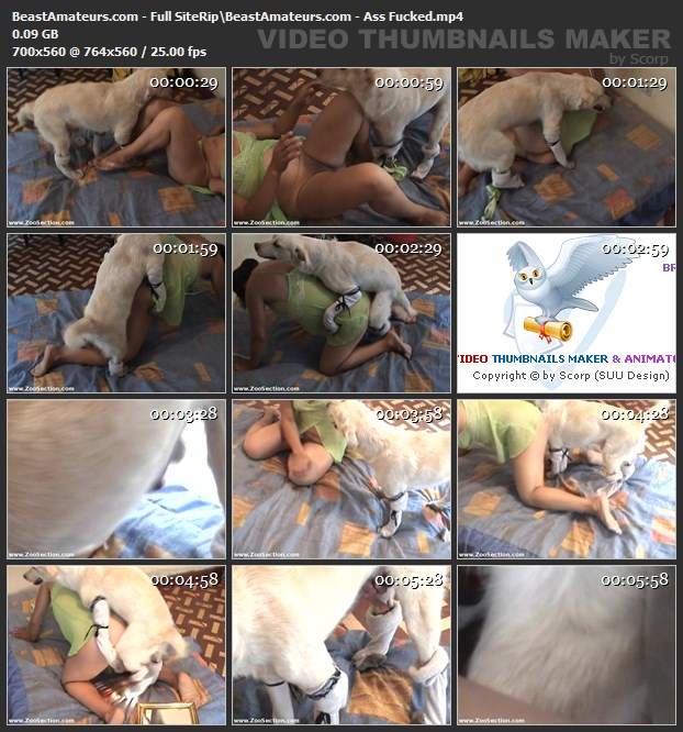 peluda  sexo com animais dogbond DVDs Bestiality woman having sex with animals site de tubo de sexo zoo animal Cachorro dá um nó na buceta da e engata o pinto até gozar Puta transando com um cavalo em pé