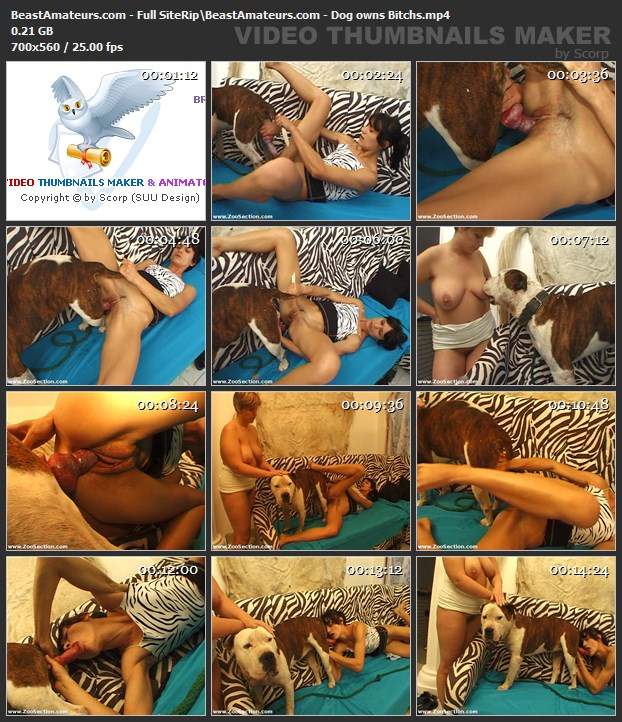peluda  sexo com animais dogbond DVDs pornografia animal cachorro ejaculando alisonprod O javali gozador na buceta da garota nova