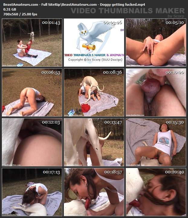 peluda  sexo com animais dogbond DVDs Filme pornô de zoofilia com uma mulher indiana Mulheres brasileiras trepam com garanhão mulher de quatro pro cachorro Cachorro dá um nó na buceta da e engata o pinto até gozar