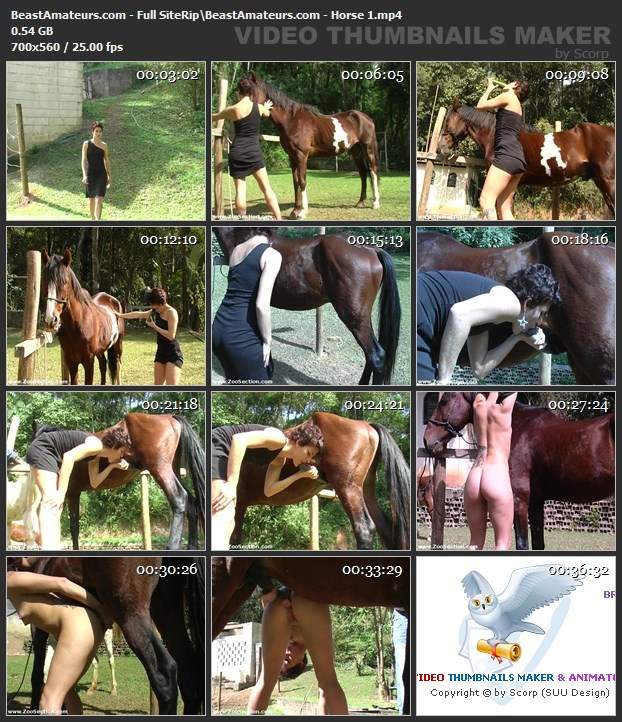 peluda  sexo com animais dogbond DVDs cavalo de pau duro pornografia animal Filmes Pornô Com Cachorros - Zoofilia Amadora Pornô de cavalo gozando dentro de mulher