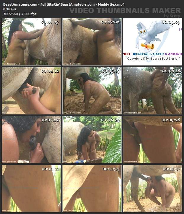 peluda  sexo com animais dogbond DVDs porco comendo a buceta Cachorro comendo e gozando no cu da casada bunduda cachorro ejaculando Penetração Sexo com cachorro Pornografia de zoológico grátis