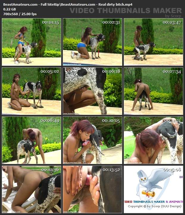 peluda  sexo com animais dogbond DVDs Cachorro comendo e gozando no cu da casada bunduda Cavalo de Pau Molhado e Mulher Chupando Vídeo de sexo bestial grátis Cachorro comendo o Cu da empregada