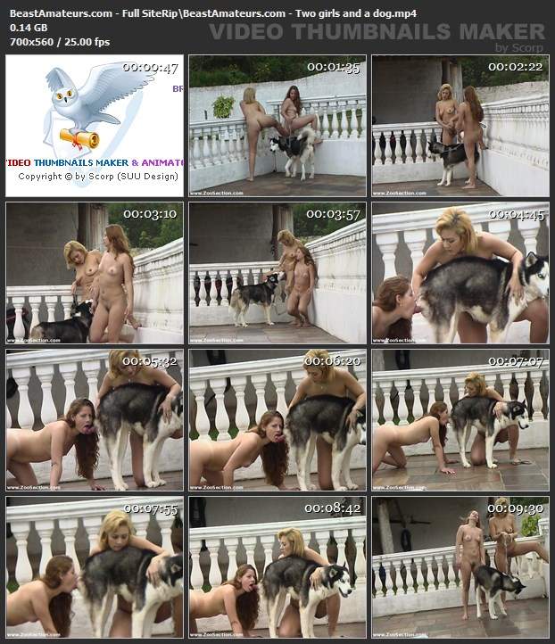 peluda  sexo com animais dogbond DVDs mulher de quatro no chiqueiro dando para um porco site de tubo de sexo zoo animal Mulheres brasileiras trepam com garanhão cachorro caralhudo comendo a buceta de loira