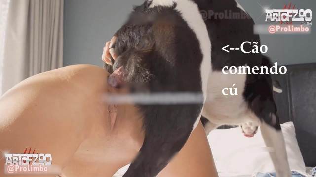 Filmes para Download xoxota fodas com animais mulher de quatro pro cachorro Cachorro dá um nó na buceta da e engata o pinto até gozar pornografia animal Andy Private Caledonian ,ZOOdelight ,Zooskool ZOOSEX