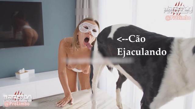 Filmes para Download xoxota fodas com animais Porno Bizarro - Sexo Gratis Cavalo de Pau Molhado e Mulher Chupando cachorro caralhudo comendo a buceta de loira cachorro de pau duro