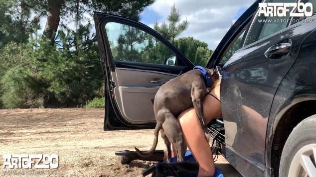 xoxota cachorro gozando peluda  sexo com animais Andy Private Caledonian ,ZOOdelight ,Zooskool ZOOSEX cavalo gozando na buceta Mulher trepando com cavalão enquanto marido cornao assiste Mia, Triana, Zaina, Valeria, Shantal, Lady Zoe, Andy, Xiomara Zoofilia