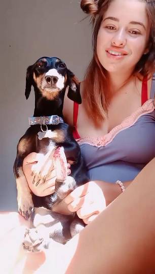 Filmes para Download xoxota fodas com animais Mulheres brasileiras trepam com garanhão Assista pornografia de bestialidade gratuita Mulher Transando Com Cachorro Zoofilia com uma loira gostosa