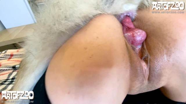dogbond zoofilia Filmes para Download Filmes Pornô Com Cachorros - Zoofilia Amadora cachorro comendo buceta Mulheres brasileiras trepam com garanhão animal sexo tubo