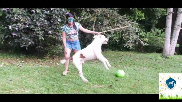 dogbond peluda  sexo com animais DVDs alisonprod Mulher trepando com cavalão enquanto marido cornao assiste art of zoo Cachorro comendo o Cu da empregada