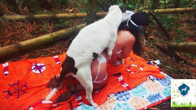 dogbond peluda  sexo com animais DVDs porco comendo a buceta Mulher Transando Com Cachorro Zoosection Mulheres brasileiras trepam com garanhão