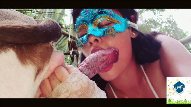 dogbond peluda  sexo com animais DVDs Filme pornô com um enorme pau de cavalo cachorro de pau duro Zoosection Mulher Negra chupando pica de cavalo
