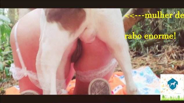 dogbond peluda  sexo com animais DVDs porco comendo a buceta melhores filmes de bestialidade de todos os tempos ZOO pornô com animais. vídeos gratuitos de bestialidade filmes anal sexual amor zoofílico orgia no zoológico