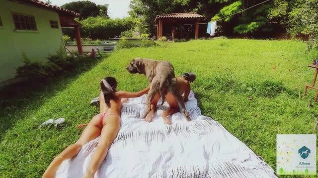 Filmes para Download xoxota fodas com animais Pornô de cavalo gozando dentro de mulher sexo com cavalos e uma MILF novinha gostosa brasileira dando a sua buceta para o cavalo cavalo de pau duro