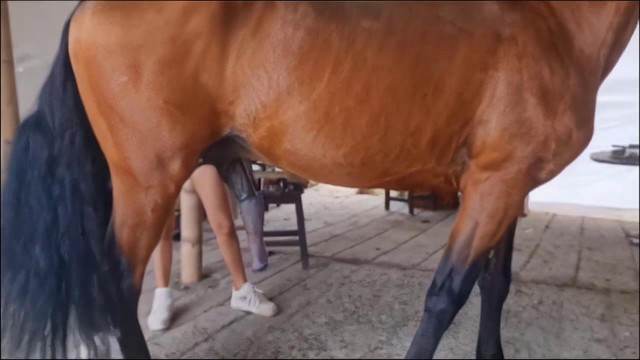 DVDs fodas com animais Filmes para Download Andy Private Caledonian ,ZOOdelight ,Zooskool ZOOSEX Cachorro comendo o Cu da empregada Cachorro comendo e gozando no cu da casada bunduda Mulher batendo punheta pro cachorro