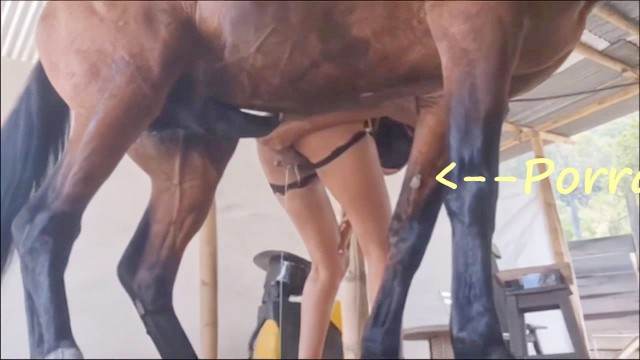 DVDs fodas com animais Filmes para Download Raven having sex with Dog Mulher batendo punheta pro cachorro Cachorro dá um nó na buceta da e engata o pinto até gozar Assista pornografia de bestialidade gratuita