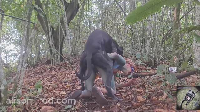 cachorro gozando cabeluda DVDs Filmes Pornô Com Cachorros - Zoofilia Amadora Cavalo gozando dentro da buceta de uma loira cavala animalsex Cachorro fodendo com uma loira muito gostosa