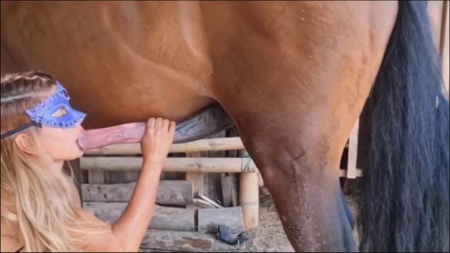 xoxota Filmes para Download fodas com animais Filme pornô de zoofilia com uma mulher indiana Cachorro fodendo com uma loira muito gostosa porco comendo buceta Filme pornô com um enorme pau de cavalo