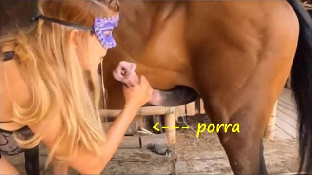 xoxota Filmes para Download fodas com animais Mulher trepando com cavalão enquanto marido cornao assiste site de tubo de sexo zoo animal Filmes Pornô Com Cachorros - Zoofilia Amadora Cachorro dá um nó na buceta da e engata o pinto até gozar