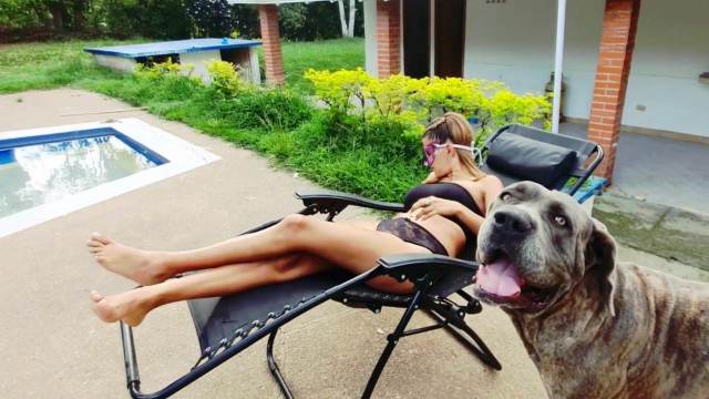 sexo bizarro cachorro gozando cabeluda pornô zoofilia com oral cachorro ejaculando cavalo gozando na mulher Cachorro fodendo com uma loira muito gostosa
