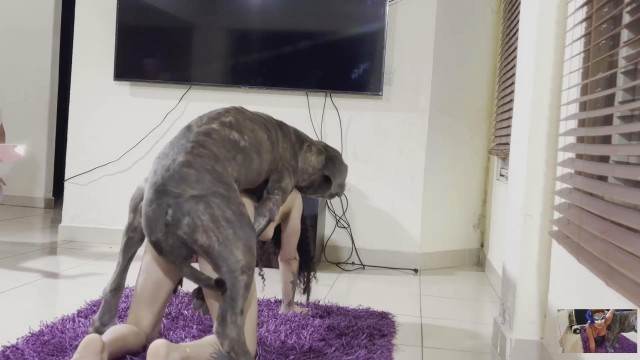 sexo bizarro Filmes para Download cachorro gozando filmes zoofiliade  brasileirinhas Penetração Sexo com cachorro Pornografia de zoológico grátis porco comendo buceta Mulher Transando Com Cachorro