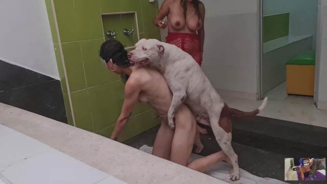 sexo bizarro Filmes para Download cachorro gozando Filme pornô de zoofilia com uma mulher indiana porco comendo buceta Mulher trepando com cavalão enquanto marido cornao assiste Raven, DogWoman, Alison, Yasmin, Gisele, Vixen, Cupcake, Lise, Sonia Zoofilia