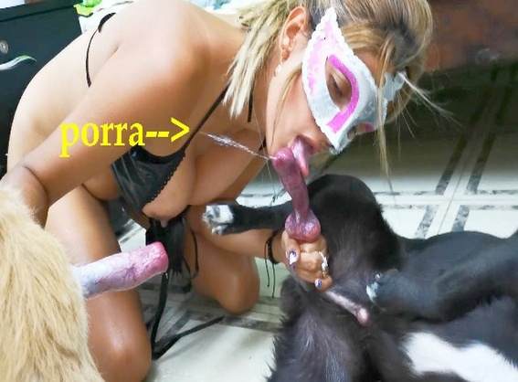cachorro gozando Filmes para Download sexo bizarro zoofilia selvagem pornografia animal Penetração Sexo com cachorro Pornografia de zoológico grátis Mia, Triana, Zaina, Valeria, Shantal, Lady Zoe, Andy, Xiomara Zoofilia