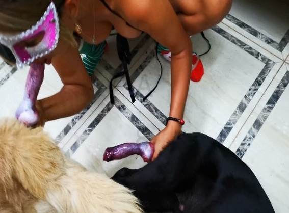 cachorro gozando Filmes para Download sexo bizarro Cachorro fodendo com uma loira muito gostosa cachorro de pau duro mulher de quatro pro cachorro namorada loira a transar com cavalo