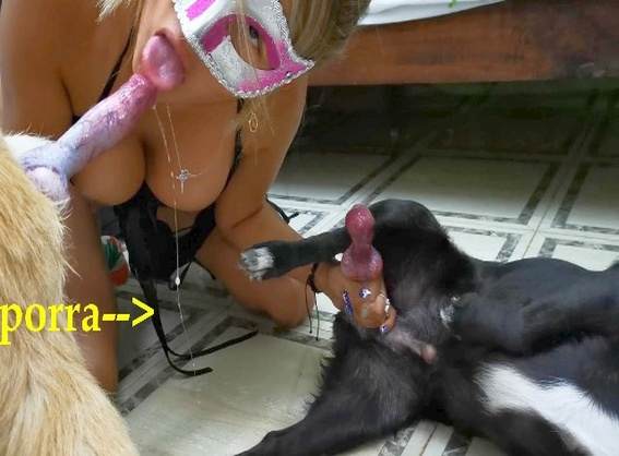 cachorro gozando Filmes para Download sexo bizarro Zoosection cavalo gozando na mulher Mulher batendo punheta pro cachorro Lise private club animalsex