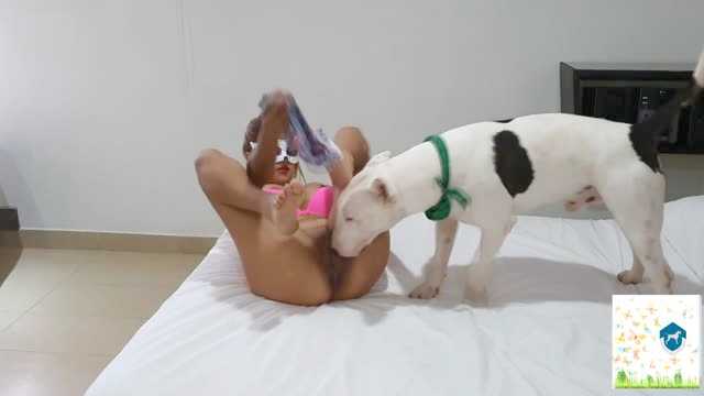 Filmes para Download xoxota fodas com animais Mulher trepando com cavalão enquanto marido cornao assiste animal sexo tubo Filmes Pornô Com Cachorros - Zoofilia Amadora cavalo gozando na buceta