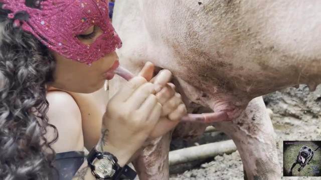 pinto de cavalo dogbond cachorro gozando Cachorro arrombando buceta da dona cachorro ejaculando zoofilia selvagem Penetração Sexo com cachorro Pornografia de zoológico grátis