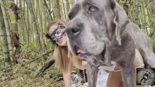 zoofilia pinto de cavalo cabeluda melhores filmes de bestialidade de todos os tempos site de tubo de sexo zoo animal Seamless Mulher latina fazendo sexo com cavalo