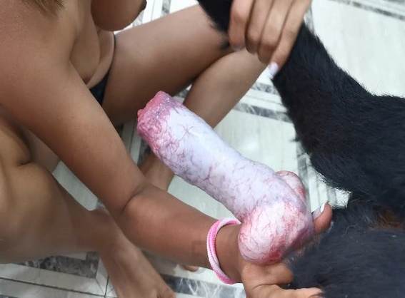 cachorro gozando peluda  sexo com animais xoxota Assista pornografia de bestialidade gratuita Porco comendo a bucetona da putona com tesão mulher de quatro no chiqueiro dando para um porco k9lady