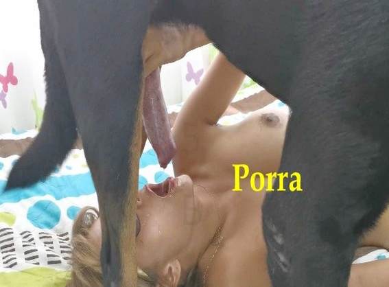cachorro gozando peluda  sexo com animais xoxota Cachorro arrombando buceta da dona animalsex Lise private club animalsex ZOO pornô com animais. vídeos gratuitos de bestialidade