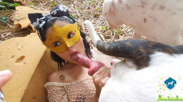 cabeluda dogbond fodas com animais Cachorro comendo e gozando no cu da casada bunduda Mulher latina fazendo sexo com cavalo sexo com cavalos e uma MILF Mulher Negra chupando pica de cavalo