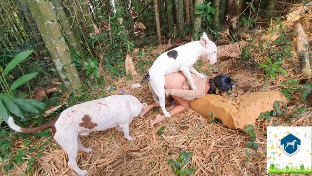 cabeluda dogbond fodas com animais Mad GloryQuest Japones sexo com cachorro pornô zoofilia com oral zoofilia selvagem Mulher latina fazendo sexo com cavalo