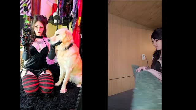 Filmes para Download xoxota fodas com animais Mia, Triana, Zaina, Valeria, Shantal, Lady Zoe, Andy, Xiomara Zoofilia Raven having sex with Dog animal sexo tubo k9lady