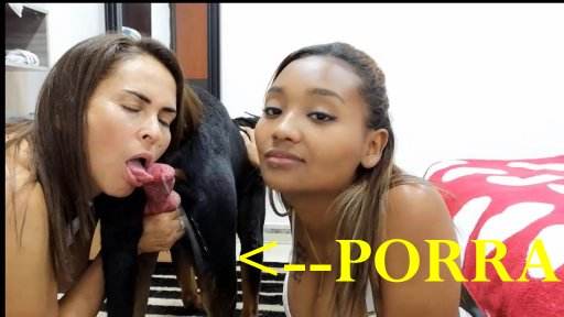 Filmes para Download DVDs dogbond Penetração Sexo com cachorro Pornografia de zoológico grátis filmes anal sexual amor zoofílico orgia no zoológico cachorro de pau duro filmes zoofiliade  brasileirinhas