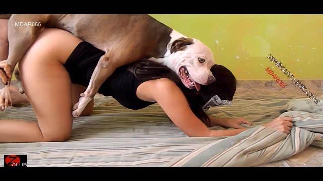 Filmes para Download DVDs dogbond alisonprod Seamless Mulher batendo punheta pro cachorro Nova tomando uma rolada de porco na vagina