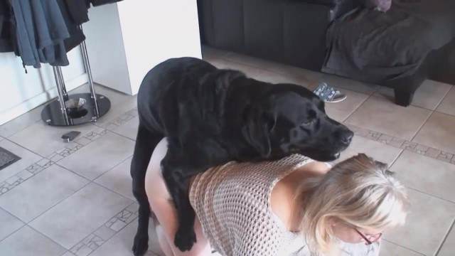 cabeluda zoofilia pinto de cavalo filmes zoofiliade  brasileirinhas Assista pornografia de bestialidade gratuita cachorro caralhudo comendo a buceta de loira pornografia animal