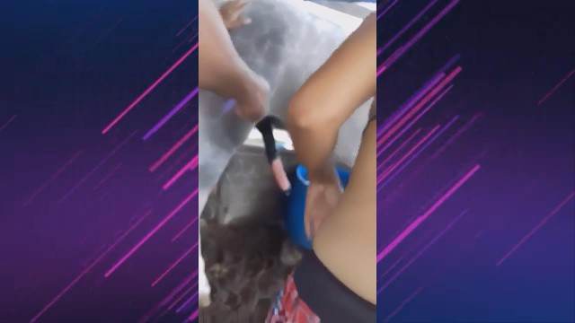 cabeluda zoofilia pinto de cavalo mulher chupando a pica do cachorro Puta transando com um cavalo em pé Mulher latina fazendo sexo com cavalo Porno Bizarro - Sexo Gratis