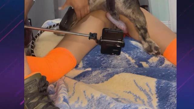 cabeluda zoofilia pinto de cavalo cavalo gozando na buceta Raven, DogWoman, Alison, Yasmin, Gisele, Vixen, Cupcake, Lise, Sonia Zoofilia Mulher batendo punheta pro cachorro Vídeo de sexo bestial grátis