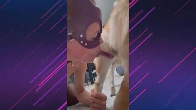 cabeluda zoofilia pinto de cavalo cavalo gozando na buceta pornografia animal Cachorro comendo e gozando no cu da casada bunduda cachorro caralhudo comendo a buceta de loira