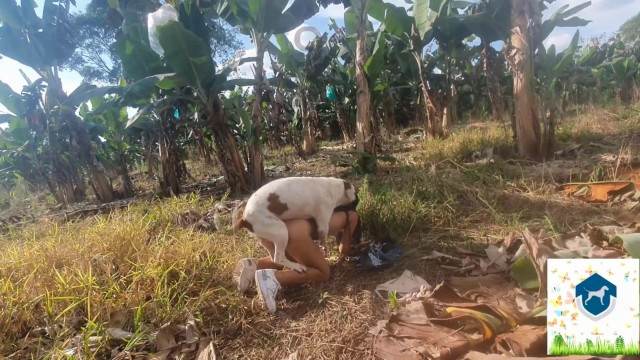 peluda  sexo com animais pinto de cavalo Filmes para Download Andy Private Caledonian ,ZOOdelight ,Zooskool ZOOSEX Lise private club animalsex Mulher Negra chupando pica de cavalo vídeos pornôs de animais grátis