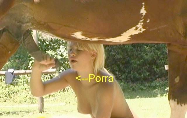 peluda  sexo com animais cachorro gozando zoofilia Cachorro comendo e gozando no cu da casada bunduda Lise private club animalsex sexo com cavalos e uma MILF Vídeo de sexo bestial grátis