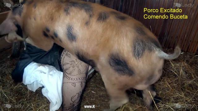 zoofilia dogbond pinto de cavalo ZOO pornô com animais. vídeos gratuitos de bestialidade Mulher trepando com cavalão enquanto marido cornao assiste Zoofilia com uma loira gostosa Porno Bizarro - Sexo Gratis