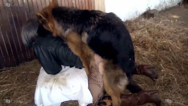 zoofilia dogbond pinto de cavalo Zoofilia com uma loira gostosa Penetração Sexo com cachorro Pornografia de zoológico grátis melhores filmes de bestialidade de todos os tempos filmes zoofiliade  brasileirinhas