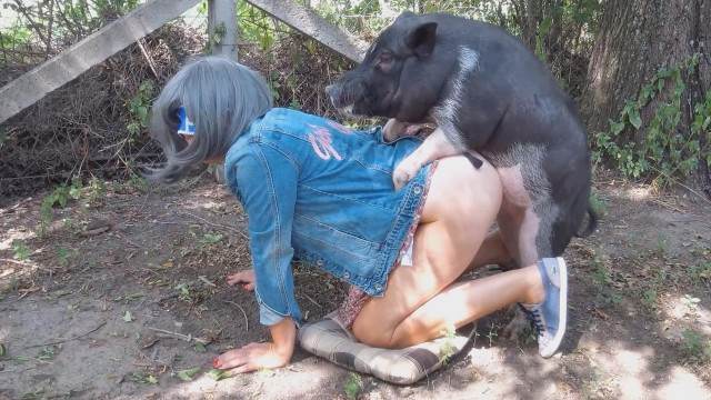 peluda  sexo com animais DVDs Filmes para Download animalsex Filme pornô de zoofilia com uma mulher indiana Nova tomando uma rolada de porco na vagina cachorro comendo buceta