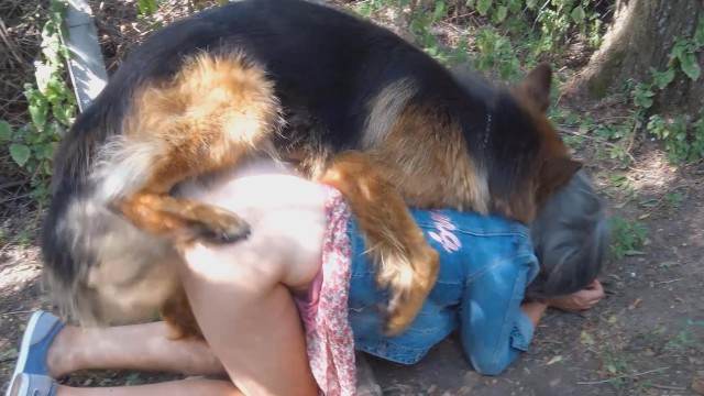 peluda  sexo com animais DVDs Filmes para Download Cachorro fodendo com uma loira muito gostosa Cachorro dá um nó na buceta da e engata o pinto até gozar Mulher batendo punheta pro cachorro Porno Bizarro - Sexo Gratis
